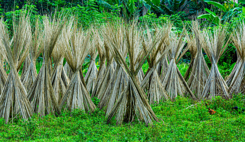 Jute, Hemp, or Wool: How to Care for Natural Fiber Rugs