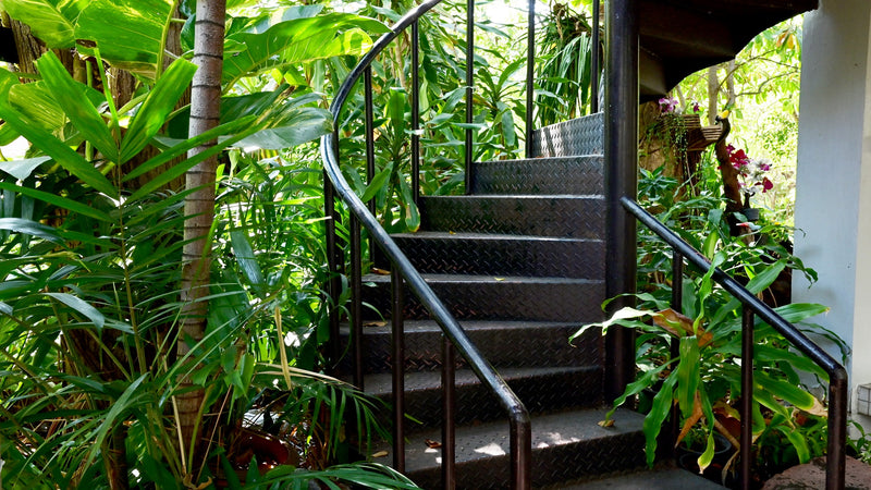 Beyond Aesthetics: Designing for Emotional Well-Being