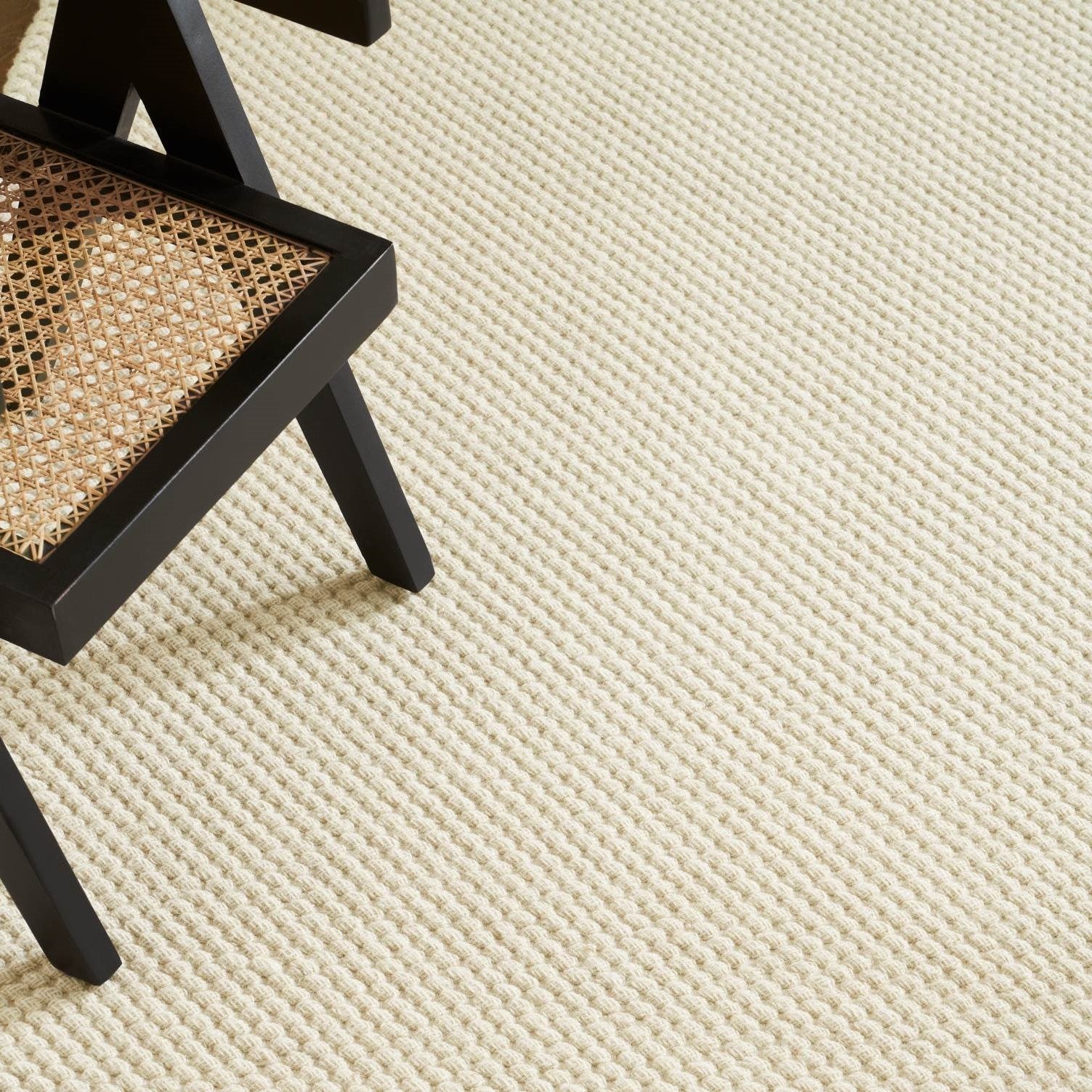 Divia Rugs QUICK SHIP AREA RUGS – DIVYA Living