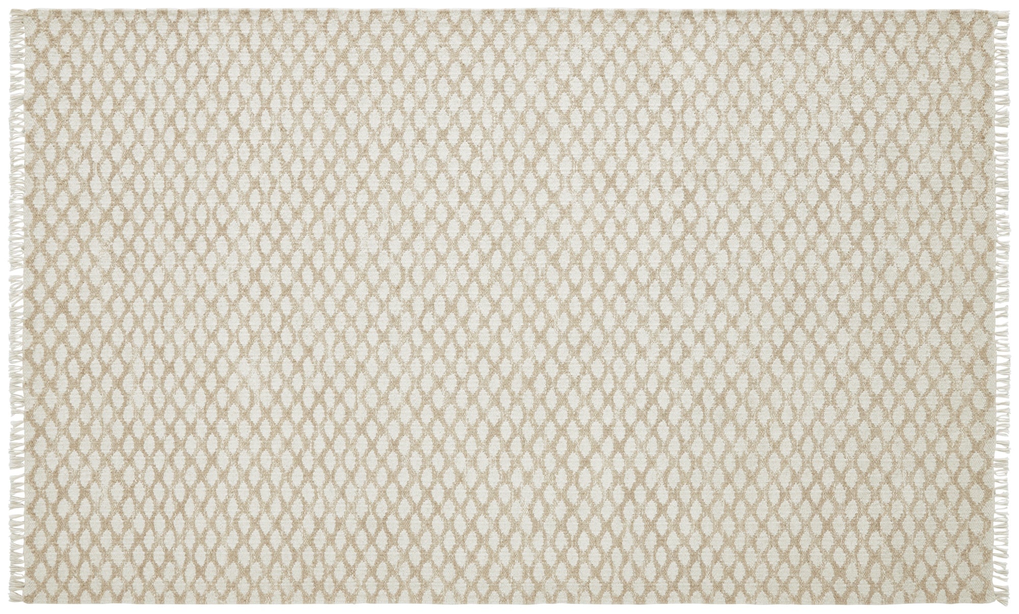 Divya Rug LIMITED EDITION AREA RUGS – DIVYA Living