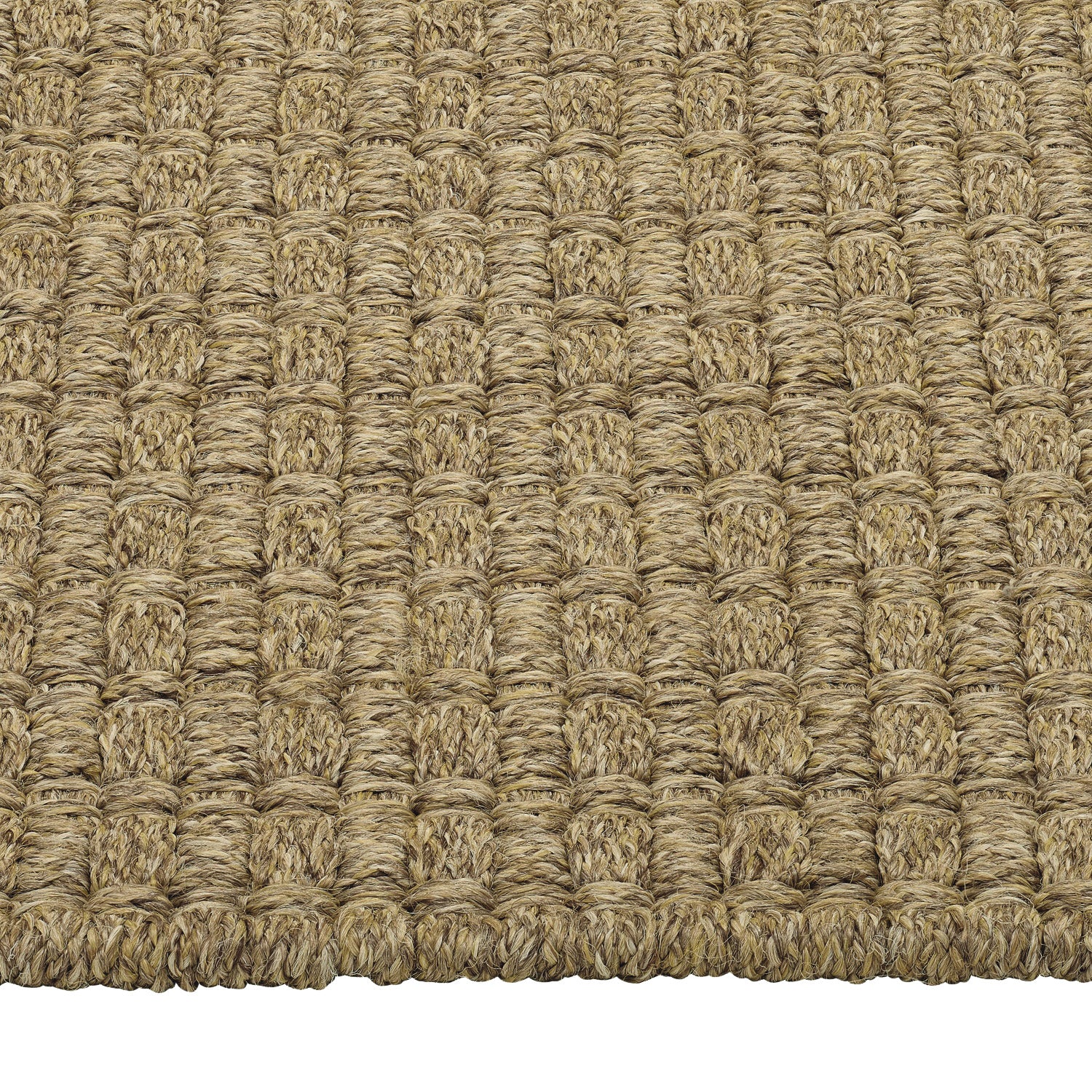 Divya Rug LIMITED EDITION AREA RUGS – DIVYA Living