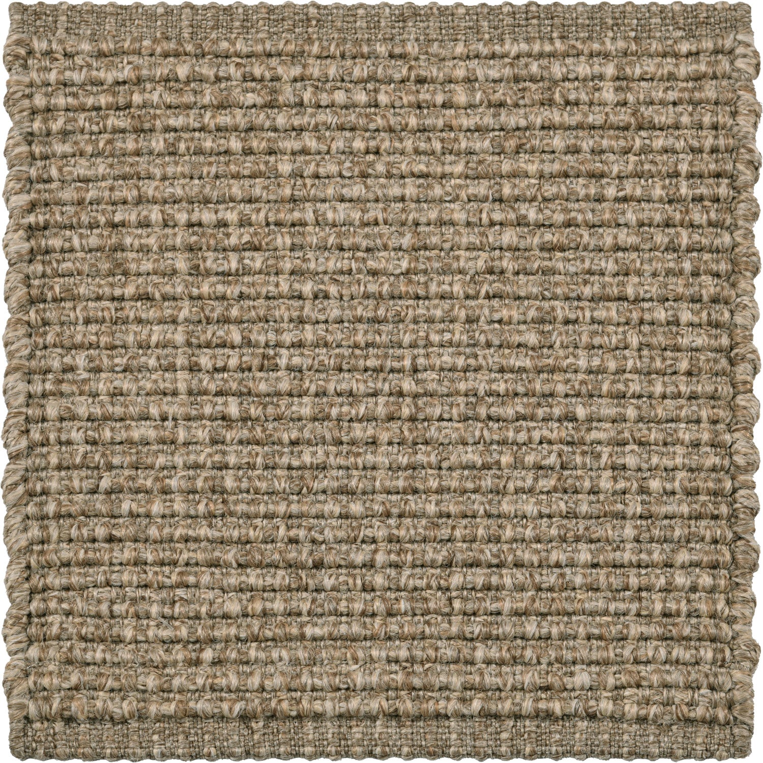 Divya Rug QUICK SHIP AREA RUGS – DIVYA Living