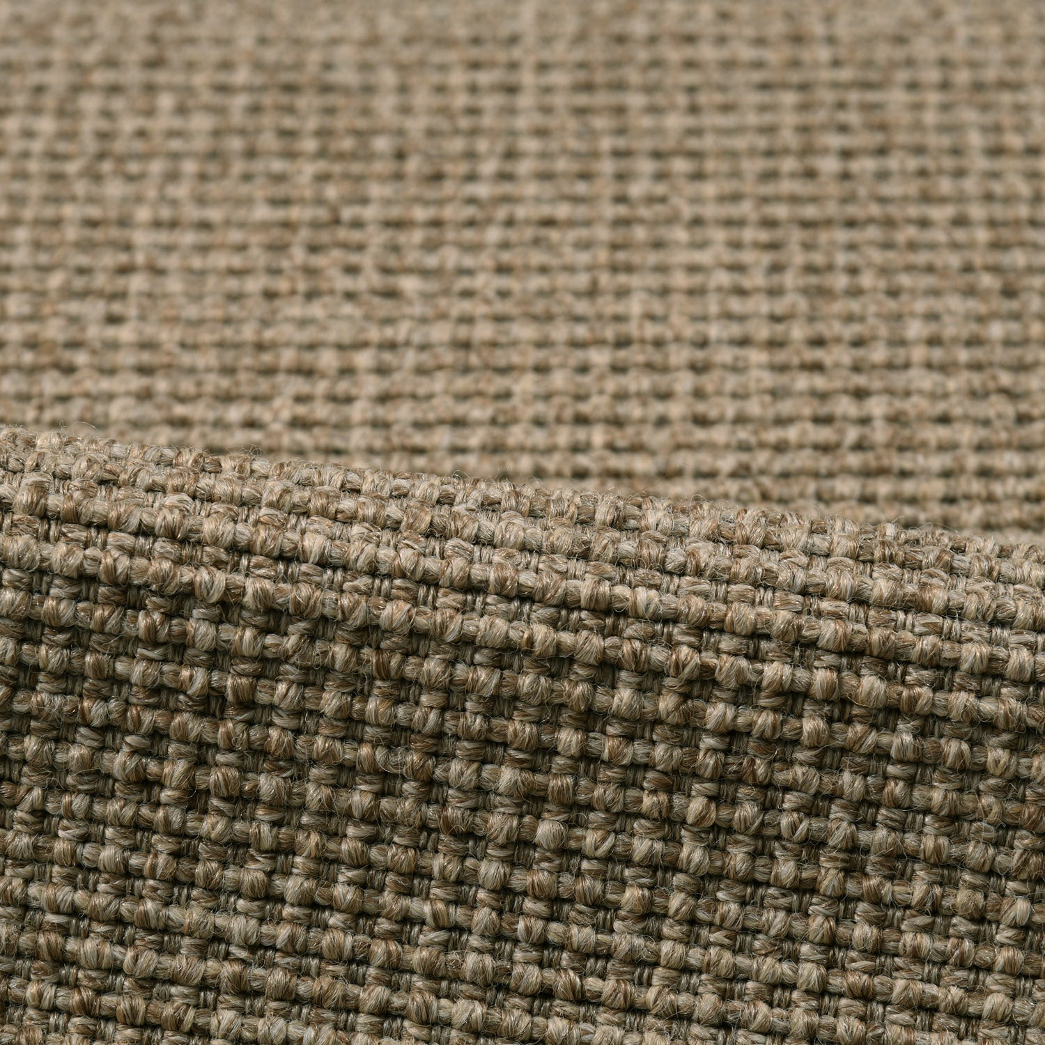 Divya Rug QUICK SHIP AREA RUGS – DIVYA Living