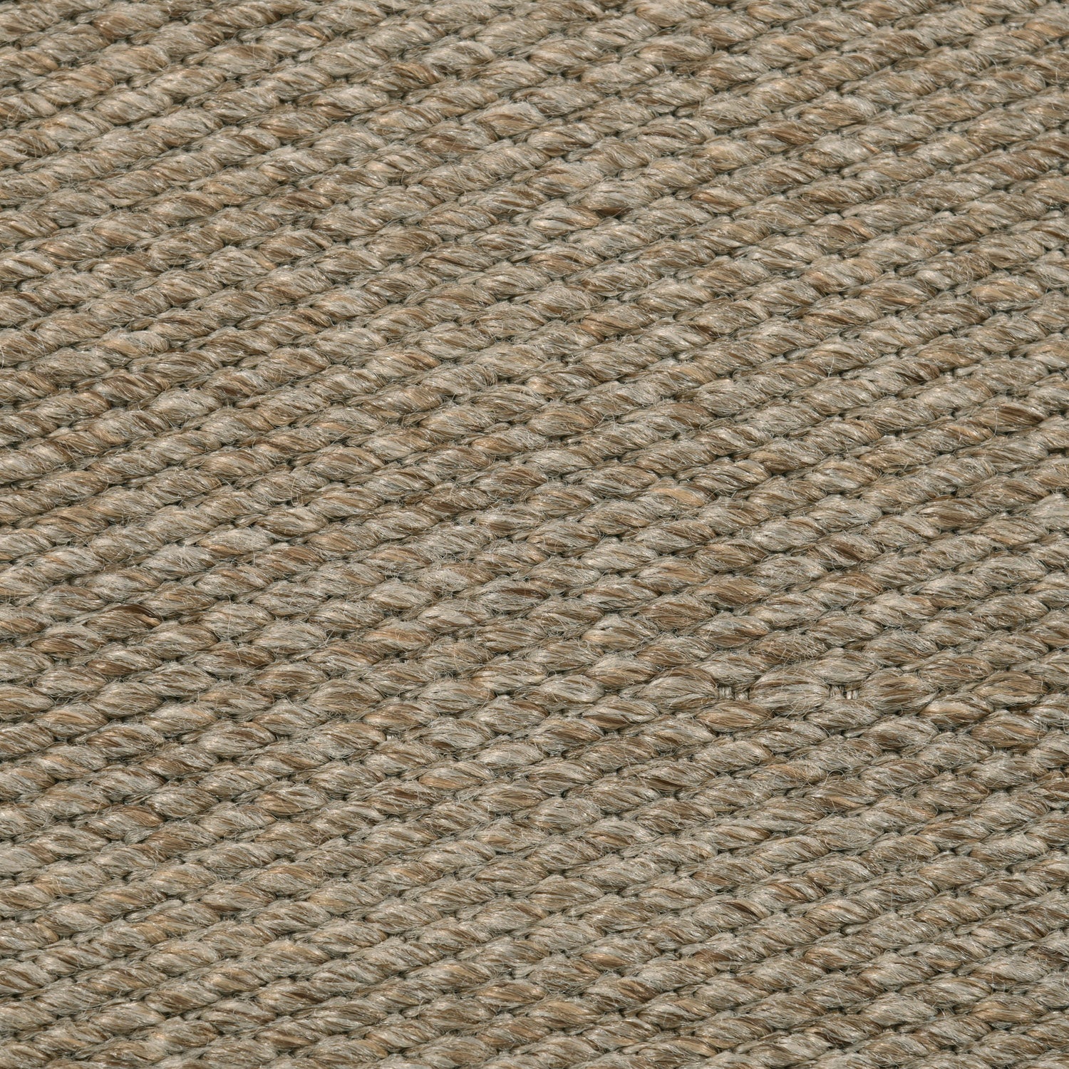 Divya Rug QUICK SHIP AREA RUGS – DIVYA Living