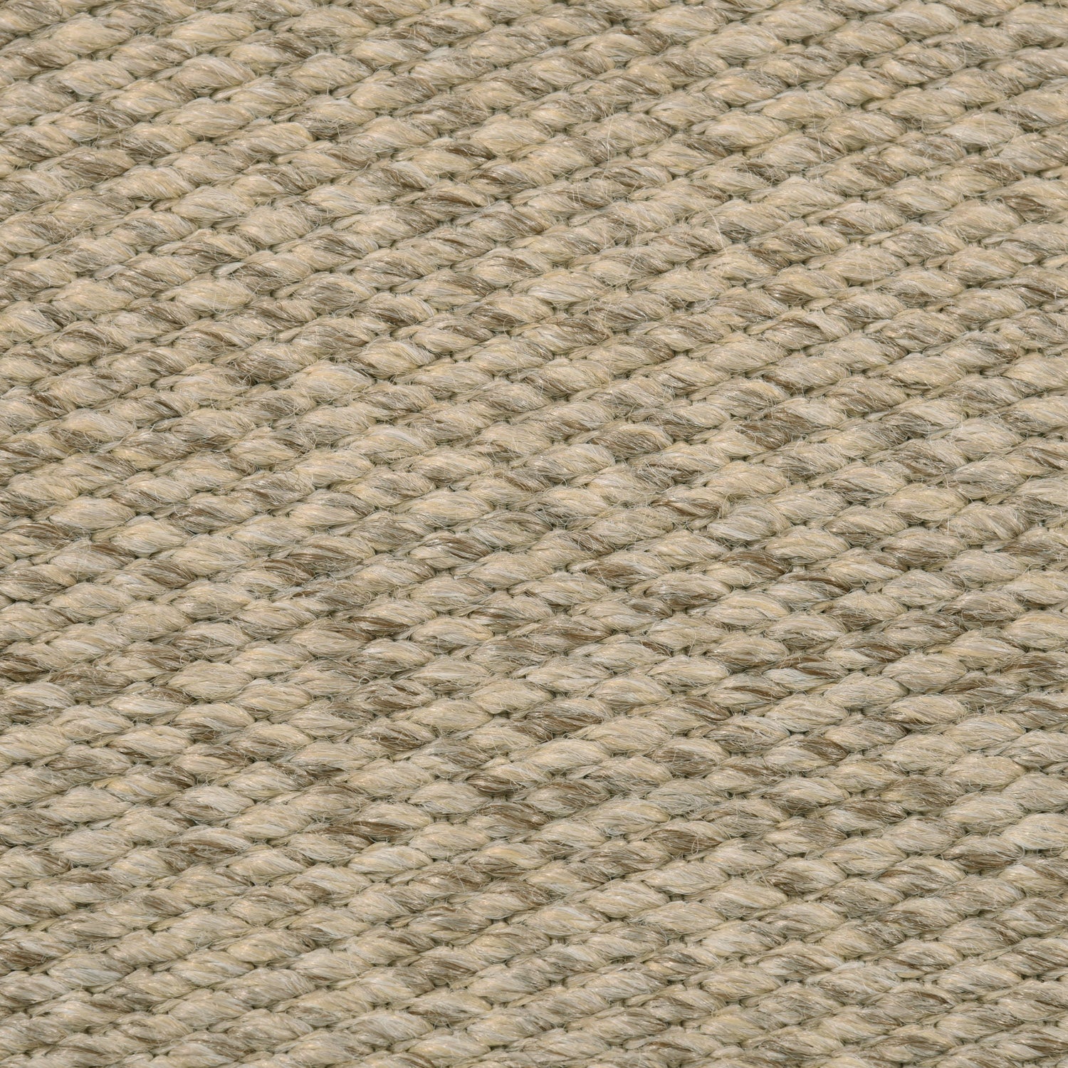 Divya Rug QUICK SHIP AREA RUGS – DIVYA Living